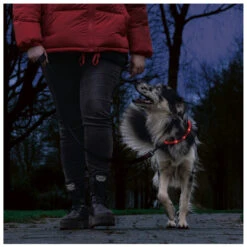 Beeztees Veiligheidshalsband Dogini 70 Cm X 10 Mm -Beeztees Hond Aanbiedingen Winkel 749850 2