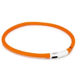 Beeztees Veiligheidshalsband Dogini 70 Cm X 10 Mm -Beeztees Hond Aanbiedingen Winkel 749852