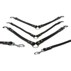 Beeztees Lederen Koppellijn Voor 2 Honden Zwart - 30 Cm X 18 Mm 5 Beeztees Lederen Koppellijn Voor 2 Honden Zwart - 30 Cm X 18 Mm -Beeztees Hond Aanbiedingen Winkel 8712695052968 ipts koppel 2 hond zwt 30x12 0 300x300 1