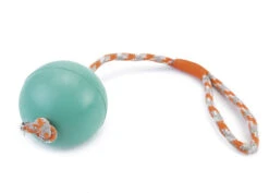 Beeztees Speelbal Aan Koord Mint