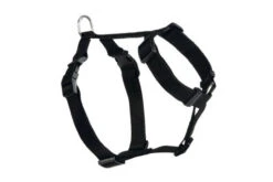 Beeztees Wandel- En Autotuig Zwart -Beeztees Hond Aanbiedingen Winkel 8806