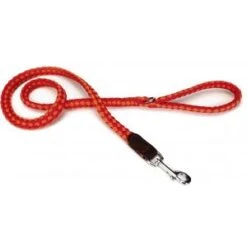 Beeztees Hondenriem Korda 130cm X 20mm Rood-oranje 5 Beeztees Hondenriem Korda 130cm X 20mm Rood-oranje -Beeztees Hond Aanbiedingen Winkel hondenriem korda 130cm x 20mm rood oranje 8712695151807 1 0 300x300 1