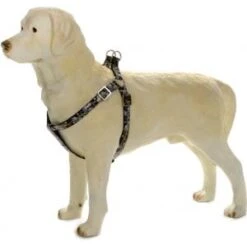 Beeztees Hondentuig Envy 46-75cm Zwart