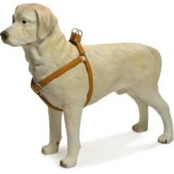 Beeztees Hondentuig Mac Leather 66-100cm Bruin -Beeztees Hond Aanbiedingen Winkel hondentuig mac leather 66 100cm bruin 8712695086697 1 0 300x300 1