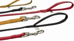 Beeztees Hondenriem Mac Leather 120cm X 15mm Rood -Beeztees Hond Aanbiedingen Winkel image 6